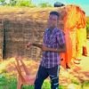 user4231023978486