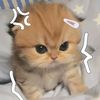 s_ilva4