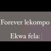 lekompo123991