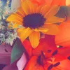 mimi.xx31
