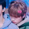 fancams