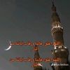 yasser.yasser49