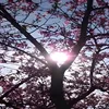 hikitmcfhpp