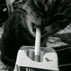 six_719