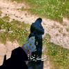 y3625159z3d