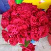 user8141982281011