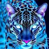 badr2971