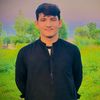 kasharkhan15666
