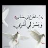 shaymaa.eladwey