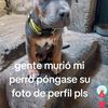 ffjavier391