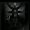 dimitri6666