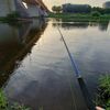 fisheriunas_