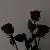 emoslayer_8