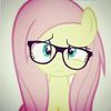 not_denver6