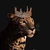 d4lya_hakem8