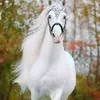 roserose4670