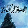 zain_z313