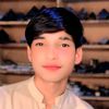 abdul.hameed.13
