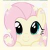 shyshy76277
