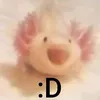 alexxxaxlt