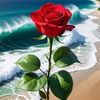 abul.badsha45