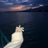 qt.mi_2