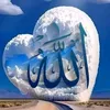 user8002696932759