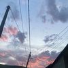 anakondaa_23