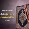amamr9538