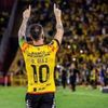 francocastillo8573