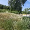 viscamaja