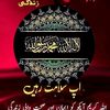 user80204620502831