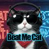 beat_me_cat