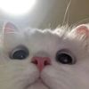 lindaarexxy_