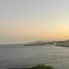 isoldee842