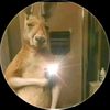 creador.de.breit