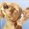 alinalovestheocen