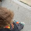 sillylarsulrich_fan