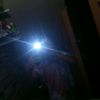 jade.garcia769
