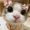 may.chue44