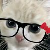 mochi_ijolumut