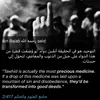 islam4mankindd