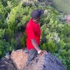 the.lion.from.tug