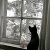 snowyia3
