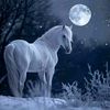 dxn_zeinab
