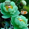 .rahmtullah.ali