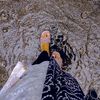 unluckygirl0751