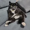 m5tmawptegk