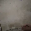 lutfotzz