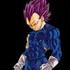 vegeta40741